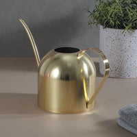 Stainless Steel Long Spout Watering Can for Indoor Outdoor Plants, 450ML