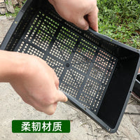 Rectangular Plastic Seedling Tray with Drainage Holes, Thickened Nursery Germination Planter for Rice, Sprouts, and Seeds