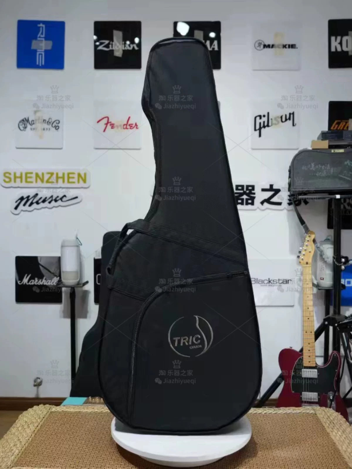 Godin La Patrie Seagull Mosaic Acoustic-Electric Guitar Hardshell Case