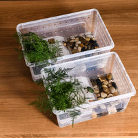 Turtle Tank with Basking Platform, Reptile Habitat for Terrapins, Frogs, and Other Small Reptiles