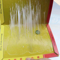 Extra-Large Thickened Sticky Mouse Traps for Home and Commercial Use