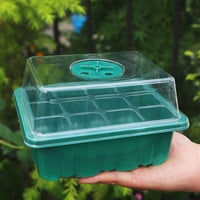 Clear Seedling Starter Trays with Lids for Plant Propagation and Germination