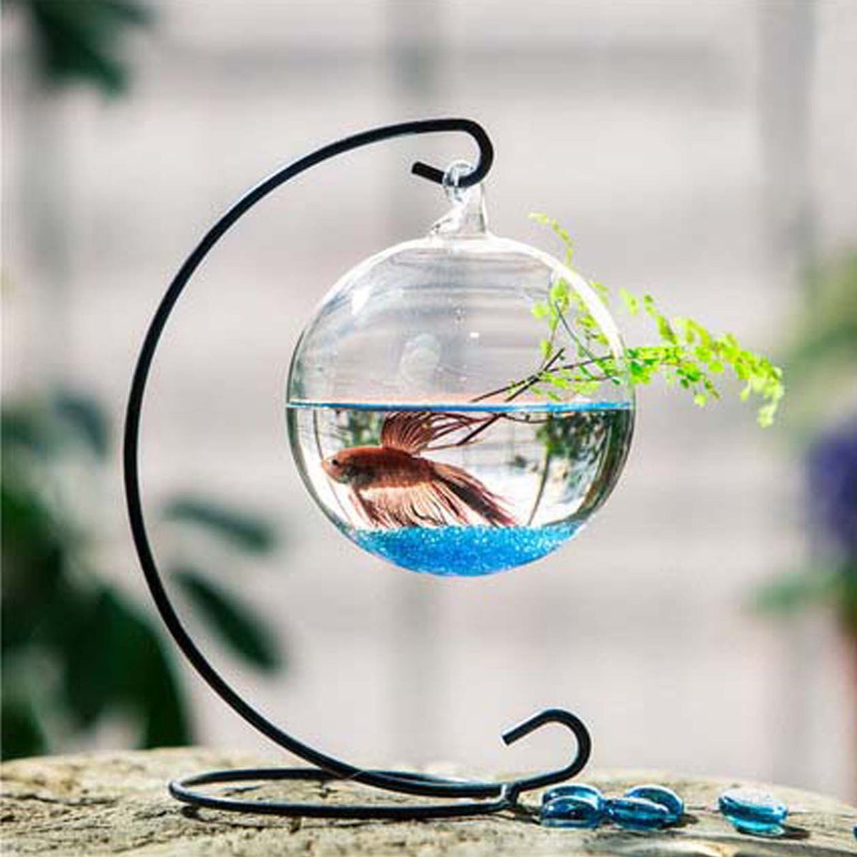 Hanging Glass Terrarium Fish Tank with Iron Stand for Plants and Small Fish