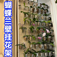 Movable Wall-Mounted Orchid Rack with Hooks, Iron Art Grid Shelf for Balcony Window