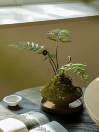 Artificial Fern Bonsai with Zen-Inspired Pot for Home and Office Decor