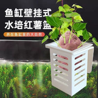 Aquarium Plant Holder Wall-Mounted Hydroponic Basket for Aquatic Plants and Decorations