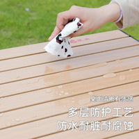 Portable Outdoor Folding Picnic Table with Wood Grain Design
