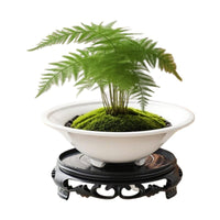 Moss Ball Planter Ceramic Hydroponic Pot for Bamboo and Office Decor