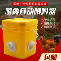 Automatic Poultry Feeder for Chickens, Ducks, and Geese