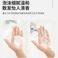 Portable Disposable Soap Sheets for Travel and Handwashing, Boxed