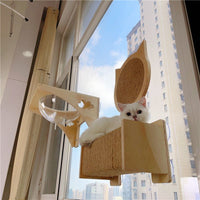 Cat Window Hammock Suction Cup Perch Transparent Capsule Cat Wall Glass Scratching Post Hanging Cat Bed