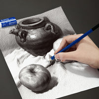 Professional Sketching Pencil Set for Artists and Beginners, Charcoal and Colored Pencils for Drawing and Sketching