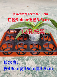 Orchid Seedling Tray with Support Rack - Durable, Breathable, Sun-Resistant