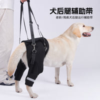 Dog Rear Leg Support Harness for Senior Dogs and Post-Surgery Rehabilitation