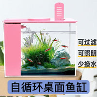 Desktop Aquarium with Integrated Filtration System for Home and Office