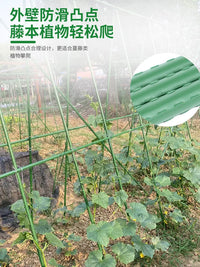 Garden Plant Support Stakes for Climbing Vines, Vegetables, and Flowers - Outdoor Trellis Kit