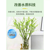 Hydroponic Plant Nutrient Solution for Indoor Potted Plants, Universal Liquid Fertilizer
