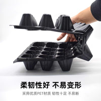 Seedling Starter Trays with Holes for Strawberry Watermelon Vegetables Succulents
