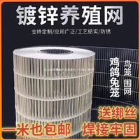 Galvanized Welded Wire Mesh for Animal Cages and Fencing