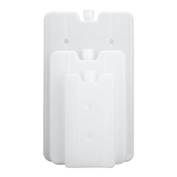 Reusable Ice Packs for Cooler Bags - Hot and Cold Therapy, Food Preservation, Outdoor Insulation