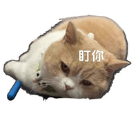 Retractable Cat Teaser Wand with Massager and Grooming Comb for Interactive Play and Scratching Relief