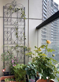 Iron Art Climbing Trellis with Base for Potted Plants, European Style Screen for Balcony & Indoor Use
