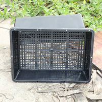 Rectangular Plastic Seedling Tray with Drainage Holes, Thickened Nursery Germination Planter for Rice, Sprouts, and Seeds