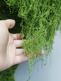 Artificial Moss Mat Square Fake Grass Turf for Landscape Decoration