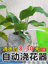 5-Pack Automatic Plant Watering Spikes for Potted Plants, Self-Dripping Irrigation System for Indoor/Outdoor Use