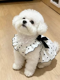 Pet Dog Summer Thin Princess Dress with Traction D-Ring for Small Dogs