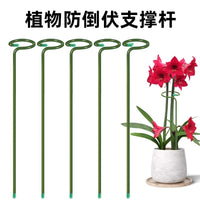 Plant Support Stakes for Potted Flowers and Shrubs, Rust-Resistant Coated Iron Garden Supports