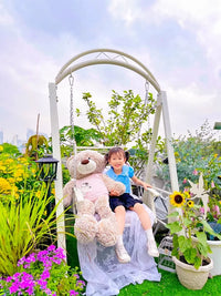 Outdoor Patio Swing Chair with Solar Light and Cushions, Single/Double/Triple Seater Garden Rocking Chair