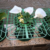 Square Strawberry Support Frame Garden Stand Anti-Toppling Fruit Holder Gardening Supplies Strawberry Planting Support Rack