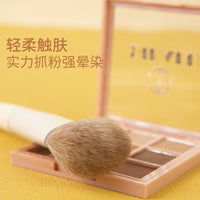 10-Piece Makeup Brush Set with Soft Bristles for Eyeshadow, Powder, and Concealer