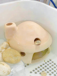 Cute Mushroom Turtle Hideout Cave for Reptiles and Fish, Decorative Aquarium Ornament