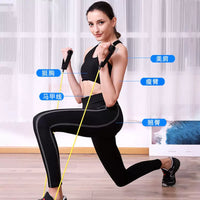 Resistance Band Set for Home Gym Full Body Workout, Strength Training Exercise Bands for Men and Women