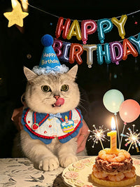 Pet Birthday Bandana Hat Set for Cats and Small Dogs, Adjustable Cake Bib Scarf and Party Hat Photo Props