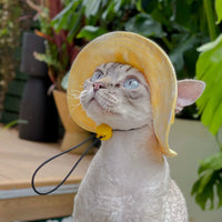 Cute Cat Dog Sun Hat with Ear Holes, Pet Summer Fisherman Cap for Photoshoot