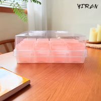 6.5cm Pink Translucent Succulent Planter Pot with Tray and Lid, Thickened PP Plastic Seedling Nursery Pot