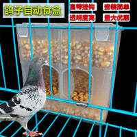 Automatic Pigeon Quail Feeder and Waterer for Cages