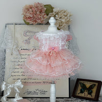 Handmade Sweet Mesh Doll Cat Golden Shaded Doll Outdoor Princess Dress