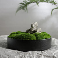Preserved Moss Bonsai Artificial Plant Micro Landscape Ornament for Table Decor