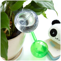 Self-Watering Globes for Potted Plants - Automatic Plant Waterer for Indoor/Outdoor Use