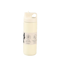 304 Stainless Steel Insulated Sports Water Bottle with Straw, Large Capacity
