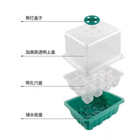 Seedling Starter Trays with Dome Lids - 6 or 12 Cell Reusable Plant Germination Kits for Succulents & Vegetables