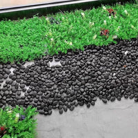 Black Natural River Rocks for Landscaping and Garden Decoration