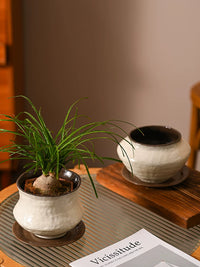 Jingdezhen Ceramic Orchid Pot with Tray - New Chinese Style Vintage White Planter for Phalaenopsis