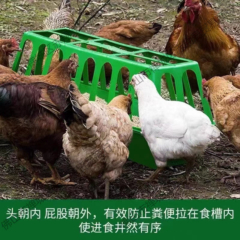 Chicken Feeder Trough and Waterer for Poultry