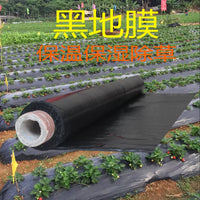 Agricultural White Plastic Film for Orchard Greenhouse Concrete Curing