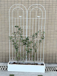 Clematis Climbing Trellis Rose Garden Fence Outdoor Metal Plant Support Frame Net